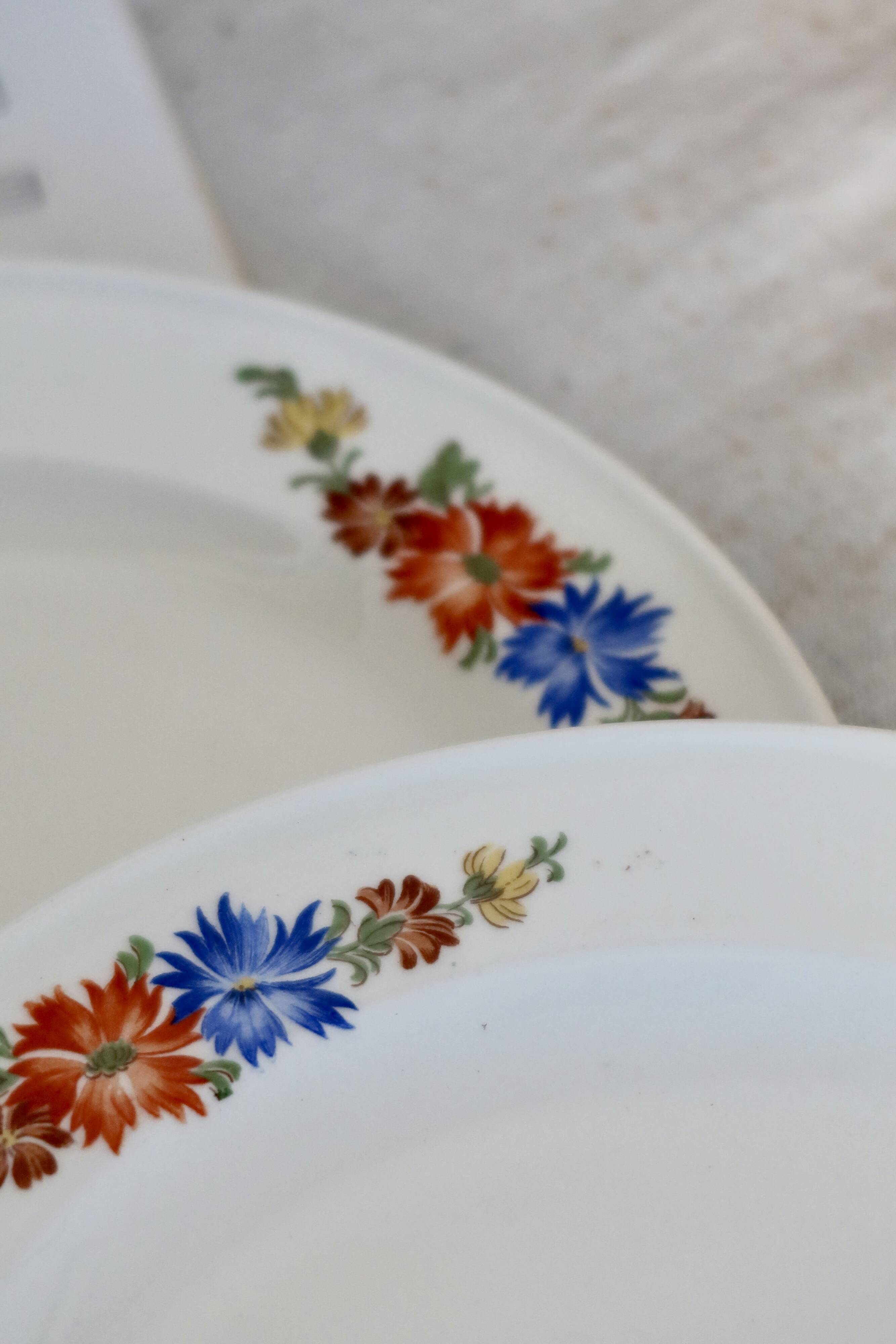 6 Royal Sphinx Maastricht earthenware dessert plates made in Holland earthenware polychrome floral pattern