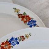 6 Royal Sphinx Maastricht earthenware dessert plates made in Holland earthenware polychrome floral pattern