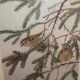 Ornithological engraving