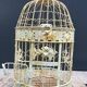 Classic metal bird cage
