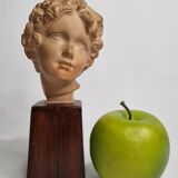Bust of Bacchus child in patinated terracotta, 21 cm