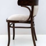 Thonet Austrian Curved Wood Armrests Chair, 1920s