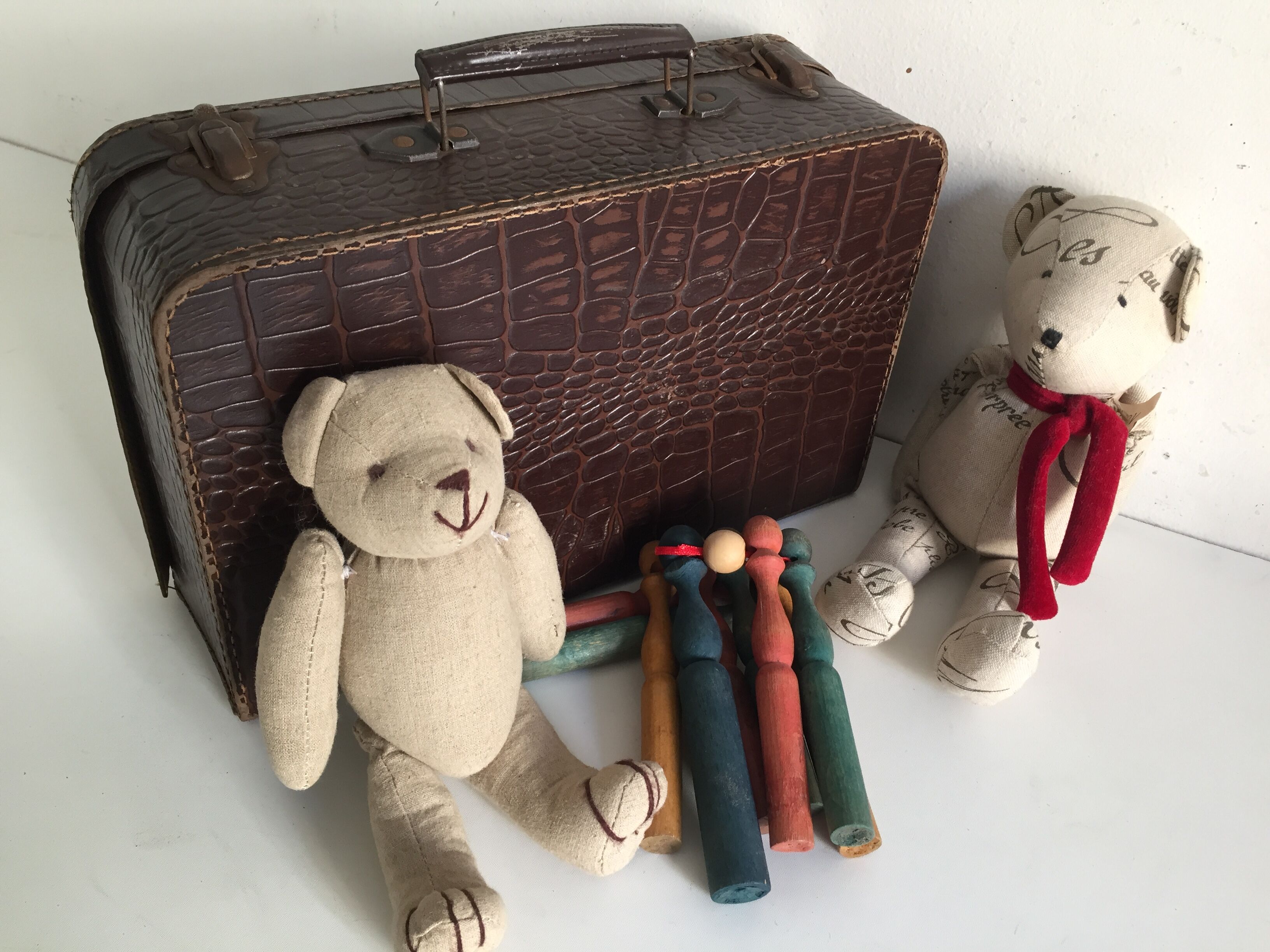 Small suitcase cardboard way crocodile