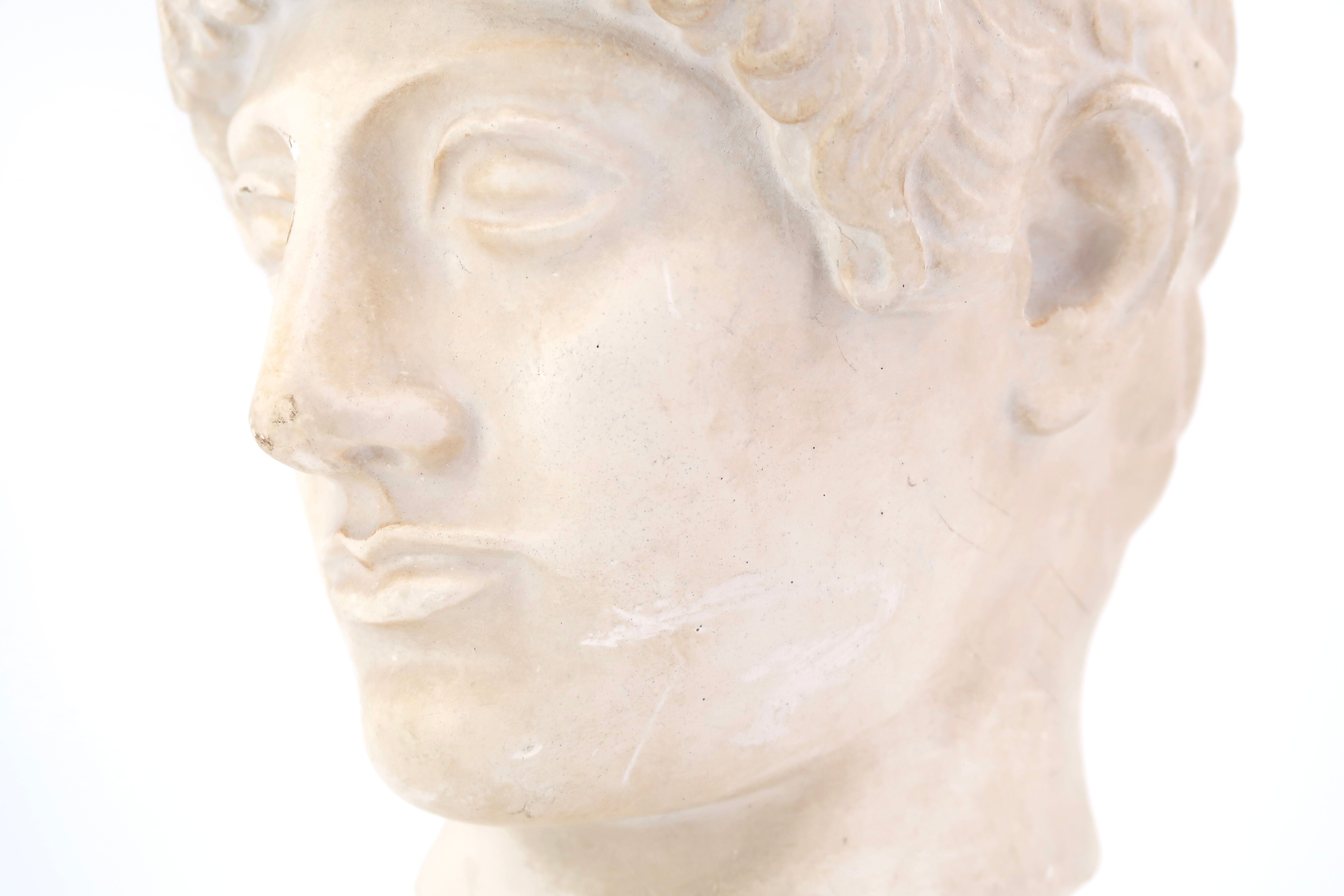 Plaster bust of a man of the blond Ephebe, 1970s