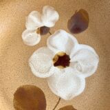 Stoneware soup plates