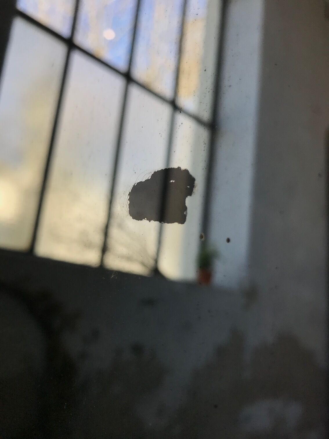 Mirror Louis Philippe flowery 141x180cm