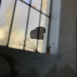 Mirror Louis Philippe flowery 141x180cm