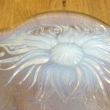 Plat coupe opalescente