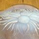 Plat coupe opalescente