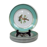 6 assiettes plates oiseaux
