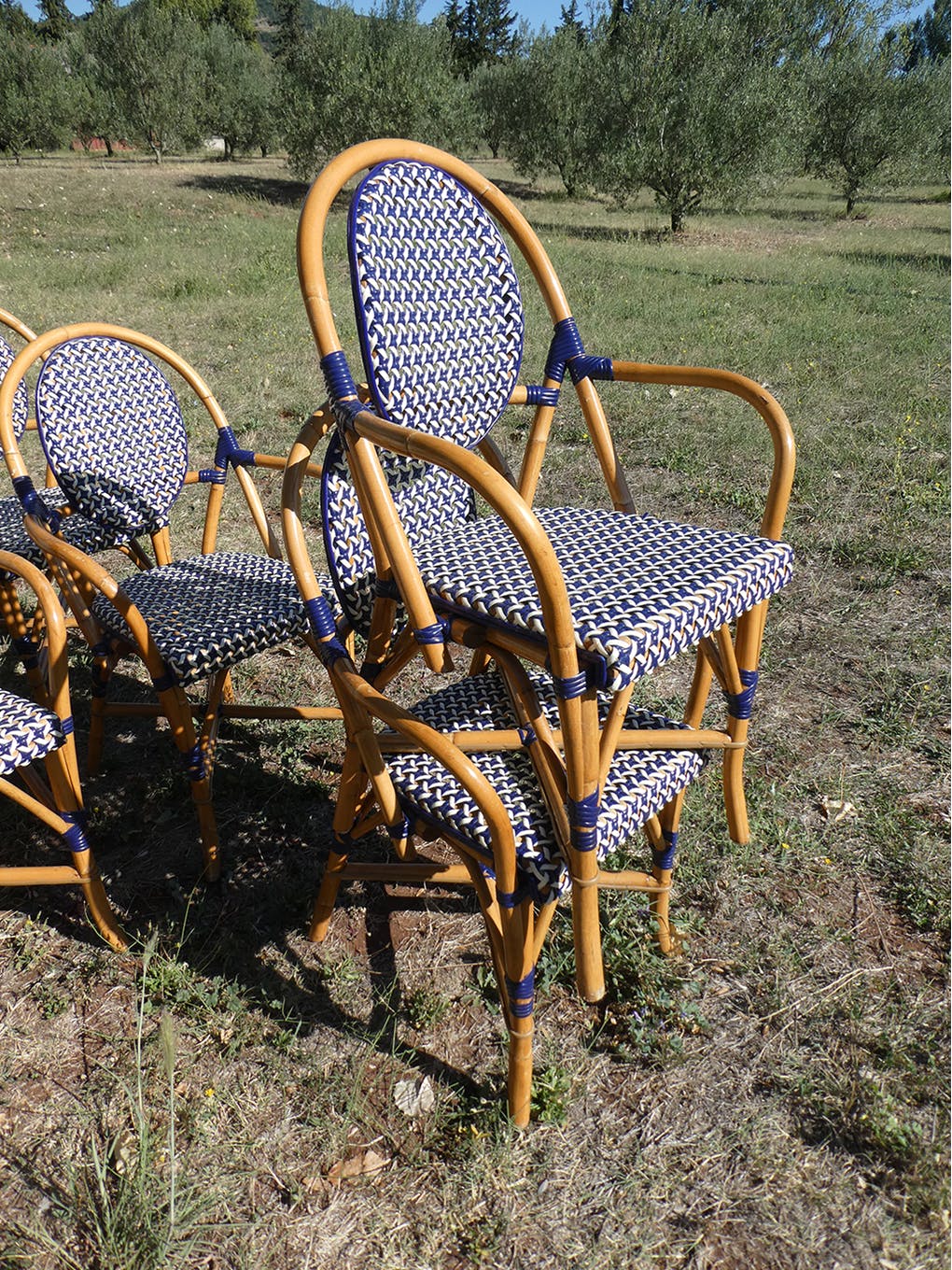 Lot de 5 fauteuils bistrot de terrasse type "parisienne" blanc et bleu
