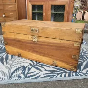 Old camphor wood trunk