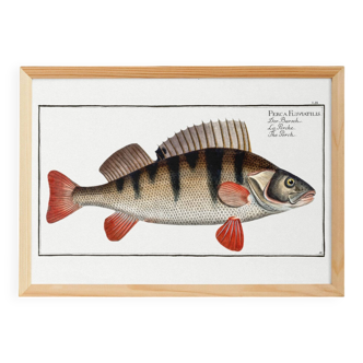 Poster on the pole, based on an old engraving from 1746.