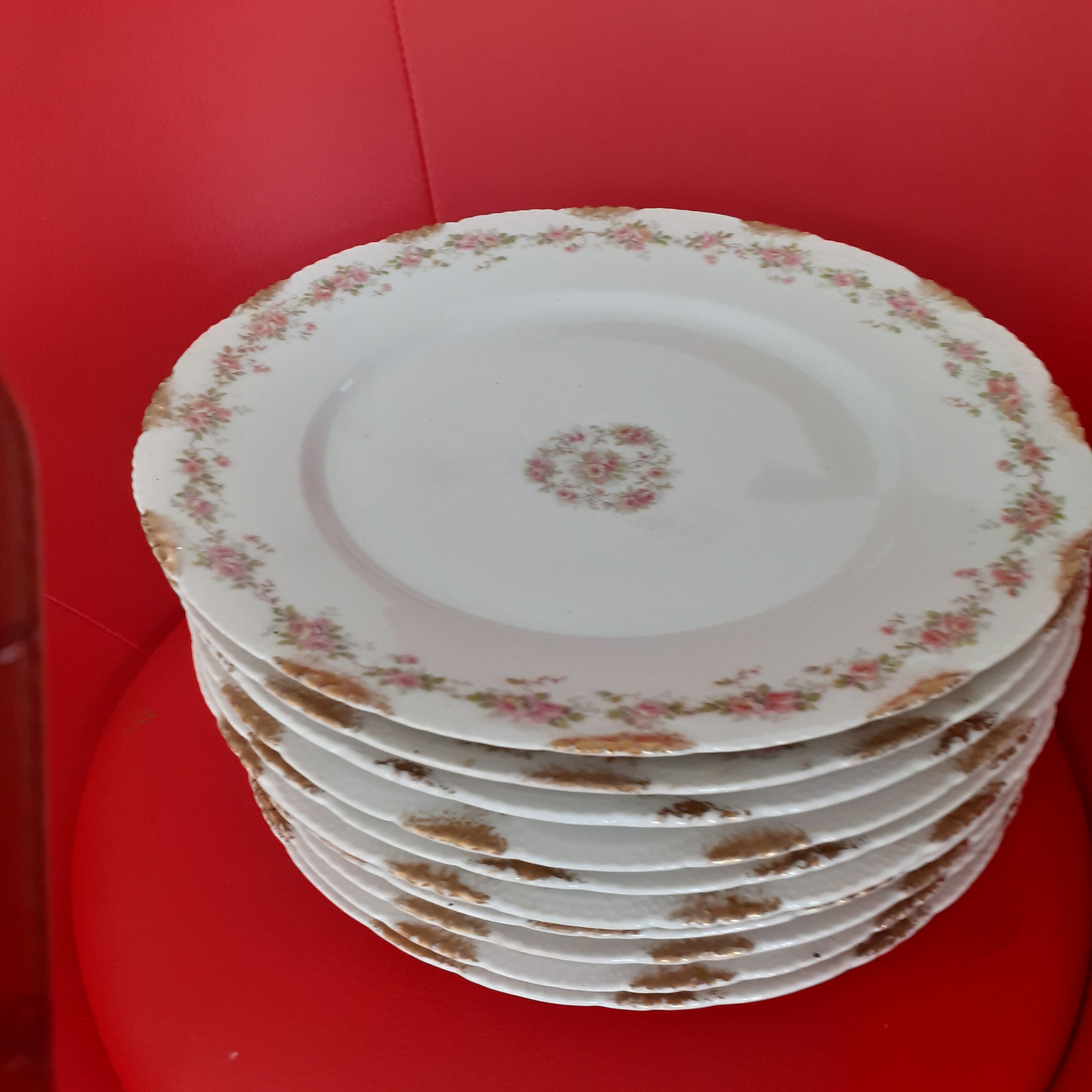 9 plates limoges haviland, years 1230