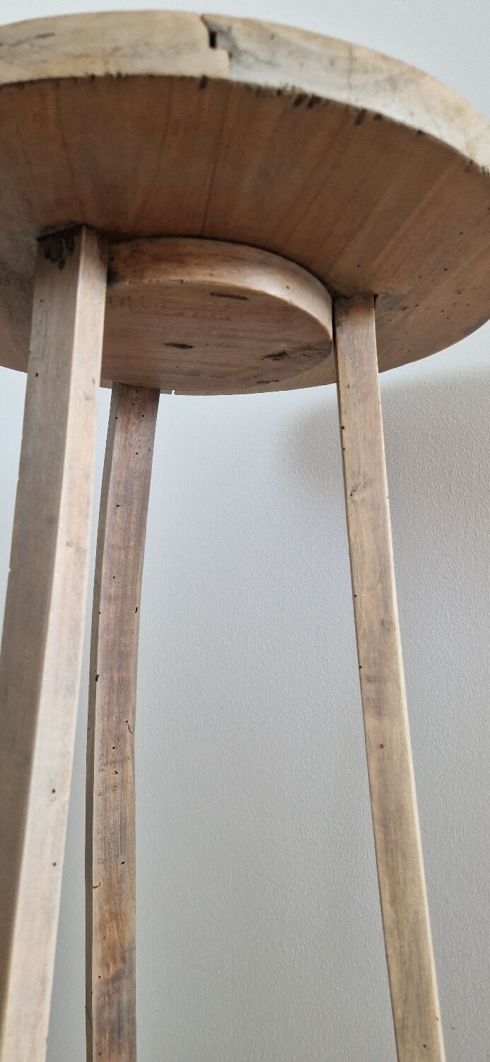 Old pedestal table driftwood