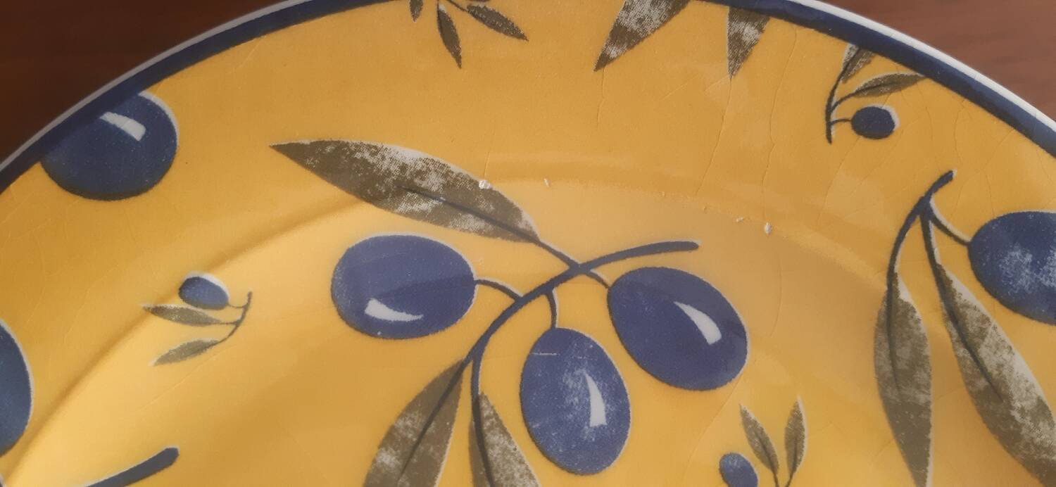 Flat plates hostess line faience Palluy