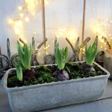 Pair of stainless steel planters