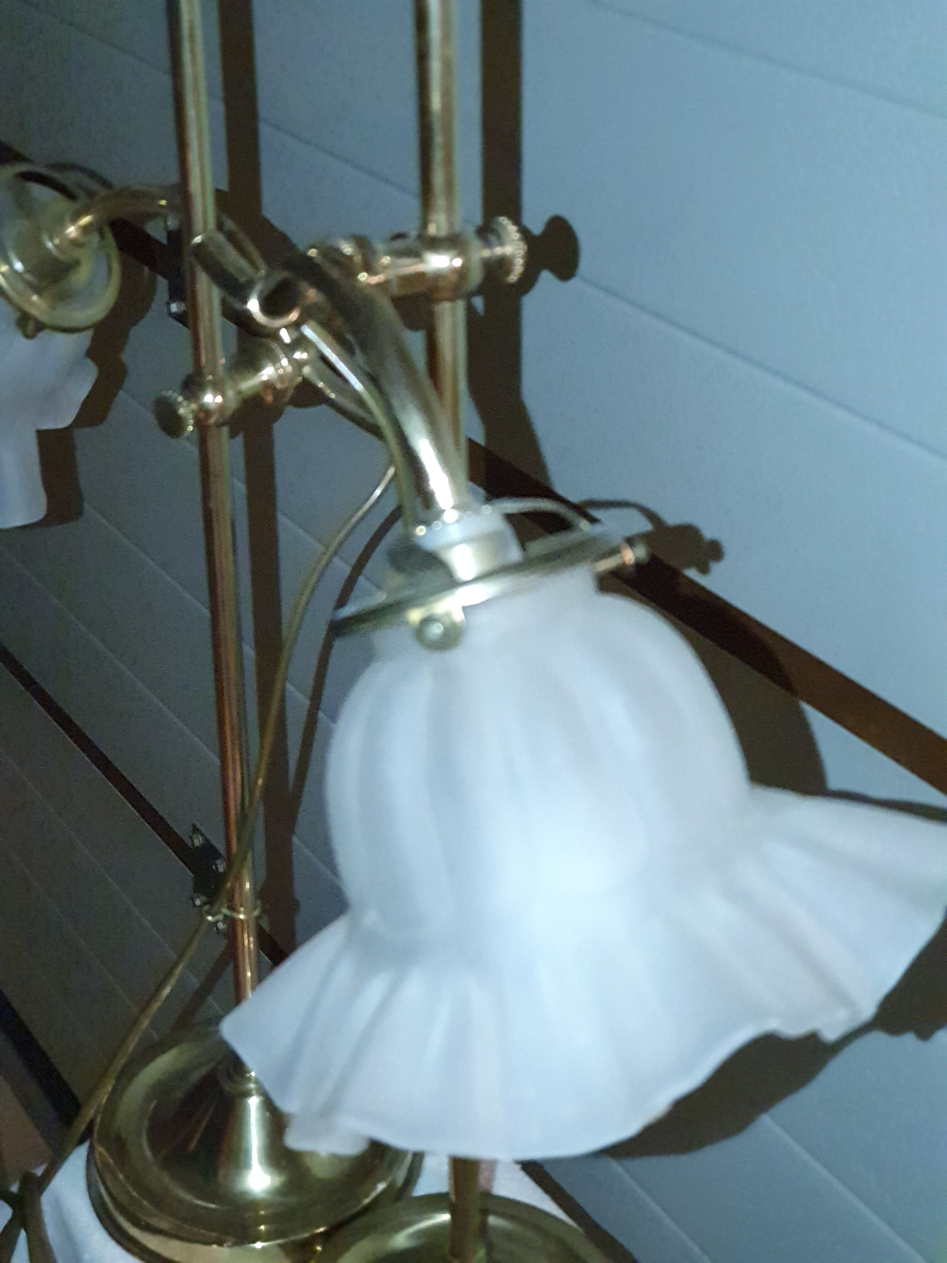 Paire de lampes tulipe
