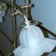 Paire de lampes tulipe
