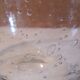 Saladier en verre soufflé bullé transparent