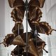 Blue emperor butterflies under large glass dome