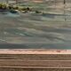 Oil on hardboard beachfront with fishermen on foot 1958 by RP