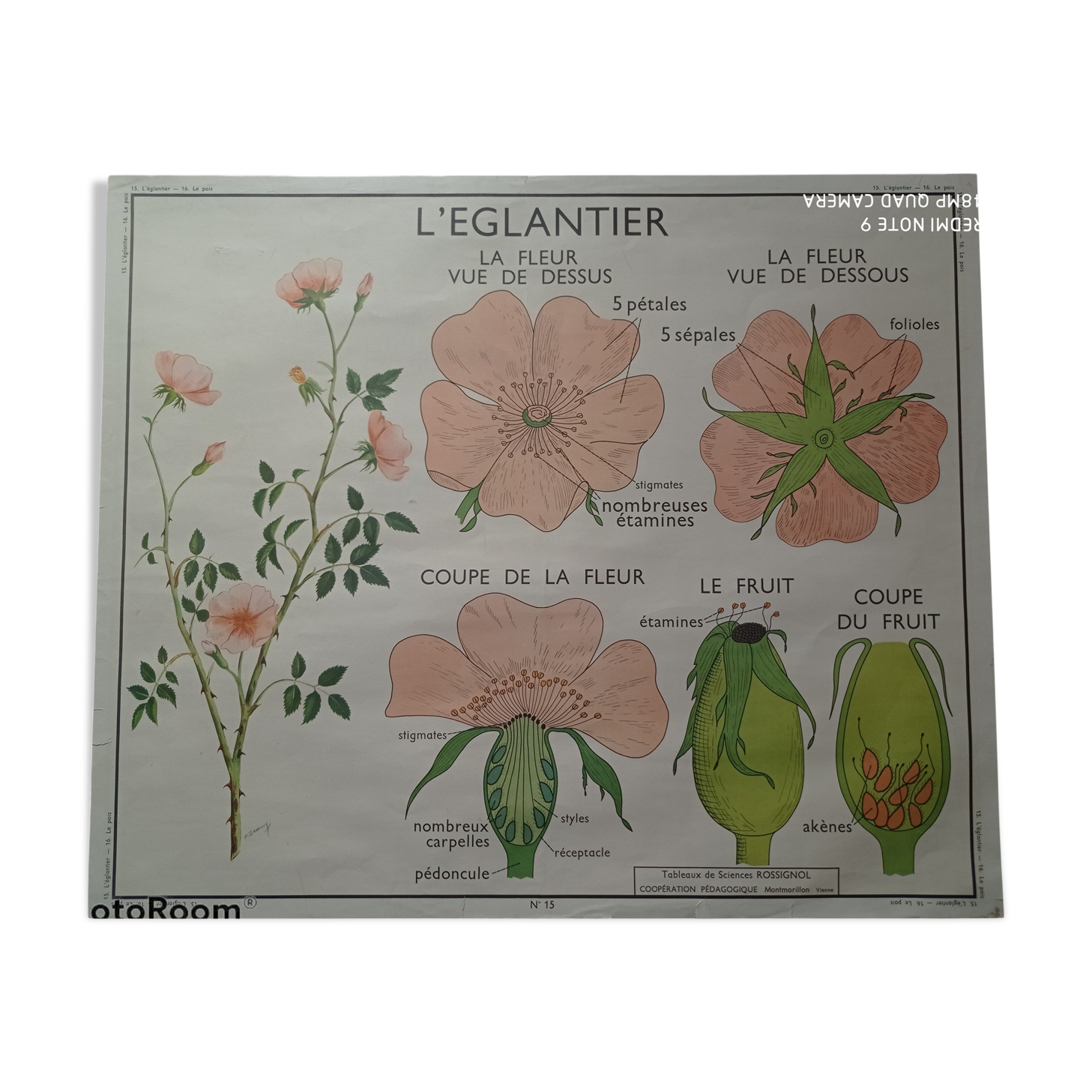 Vintage school poster