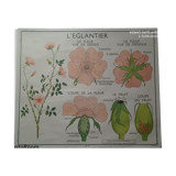 Vintage school poster