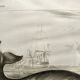 Antique engraving from 1849 - Whale - de Travies, Orbigny - ocean, cetacean