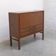 N-Line 'Team Program 500' double bar cabinet in wenge, 1966