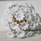 Audrey Hepburn, Delicious Murano Glass Ceiling Light White Wall Light Flowe