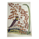 Old bird engraving -L'Allouette- Vintage zoological board from 1973 by Seligmann & Catesby