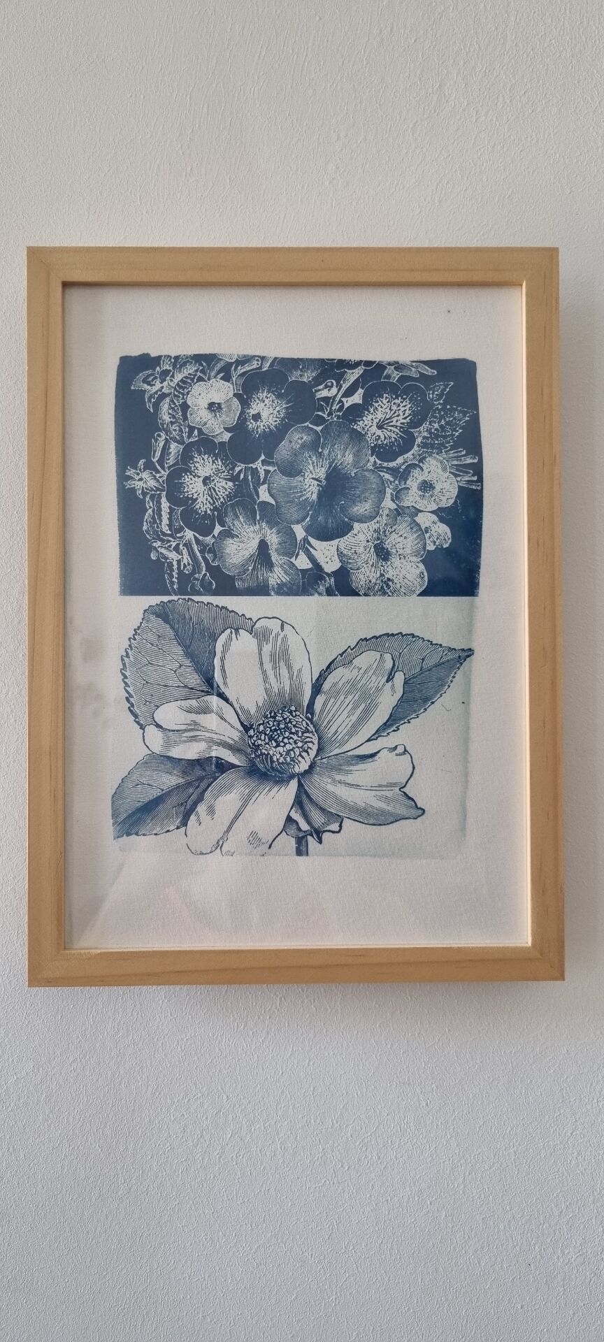 Framed botanical cyanotype wall decor