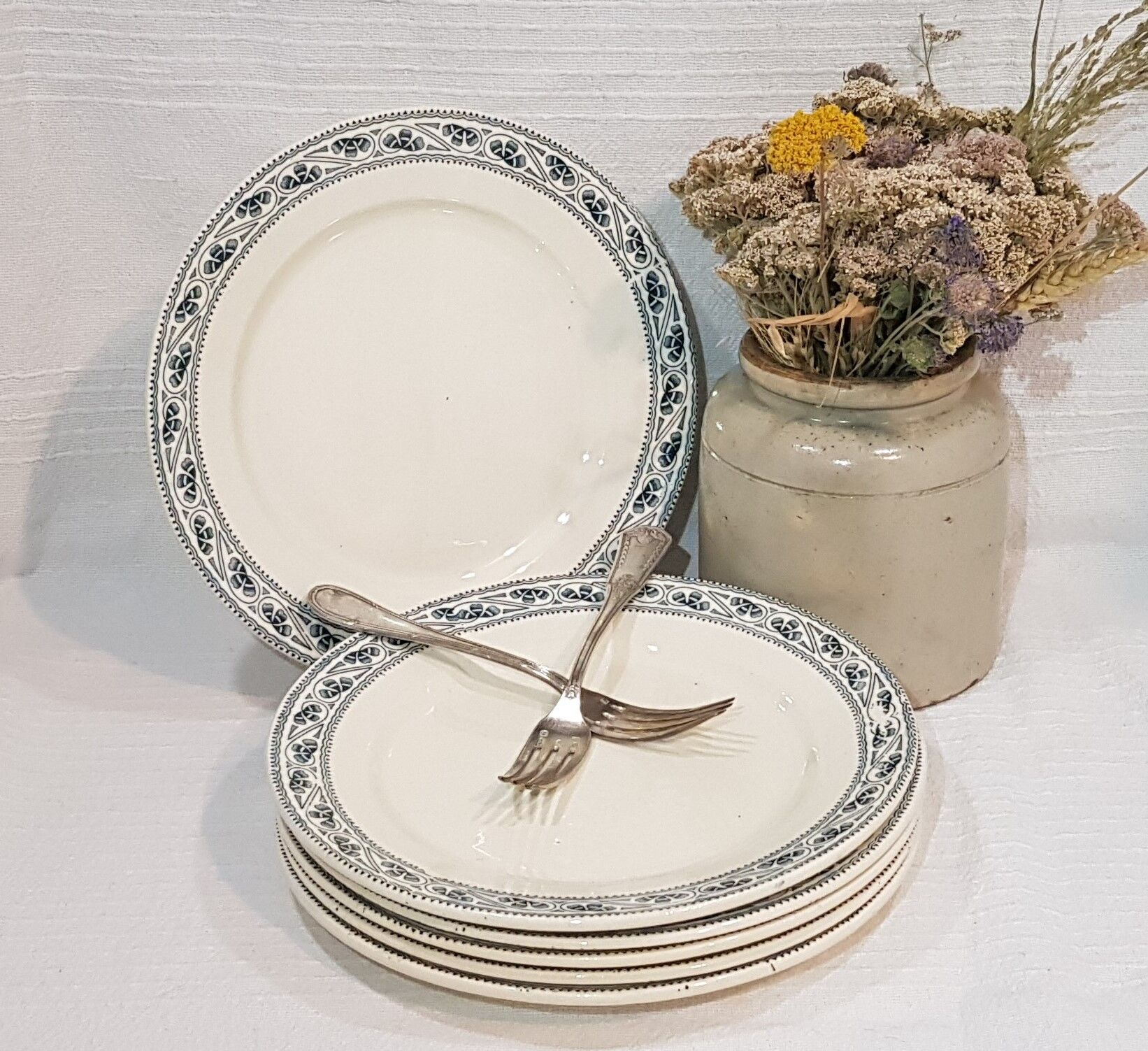 6 flat plates made of earthenware from Choisy the Champigny model King, iron earth