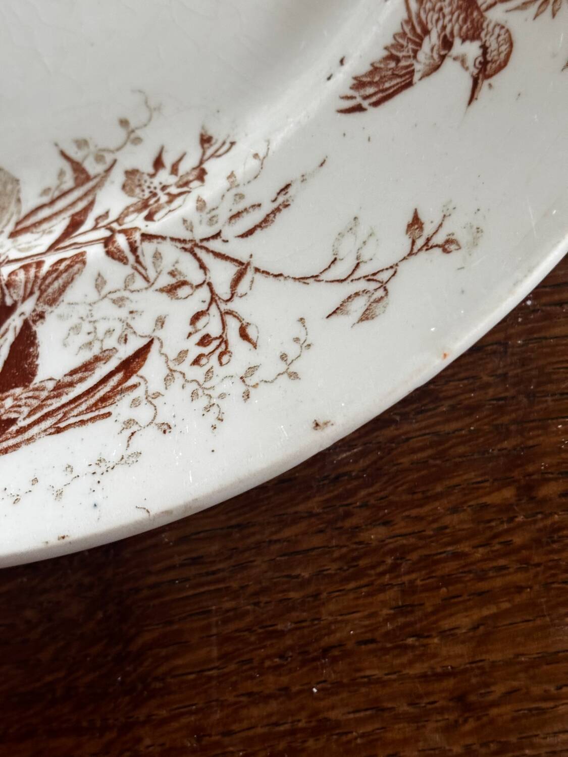 Antique KG Luneville round serving dish, colibri sepia