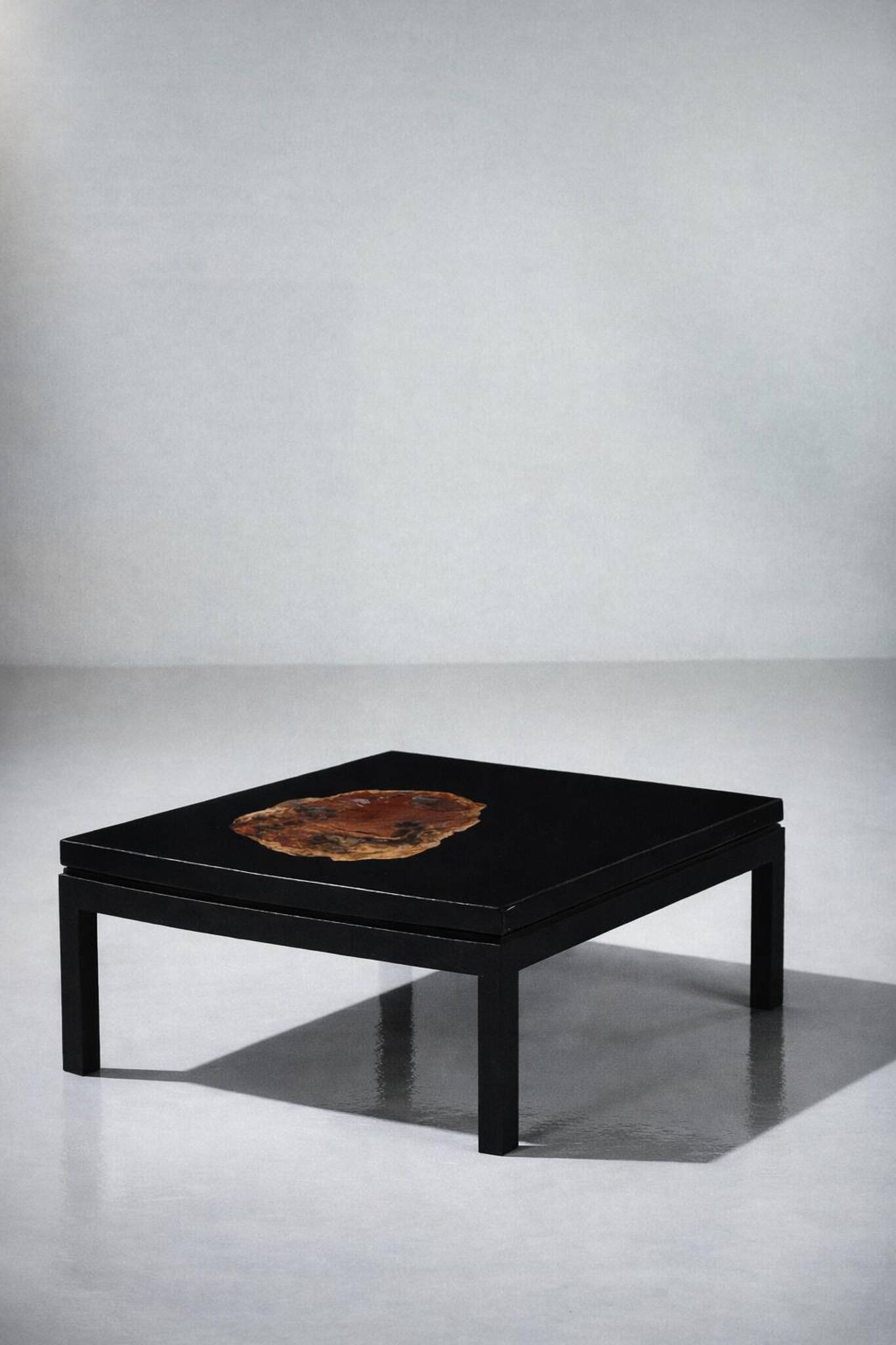 Aldo Chale coffee table - made of petrified wood from Arizona, resin, and lacquered wood.