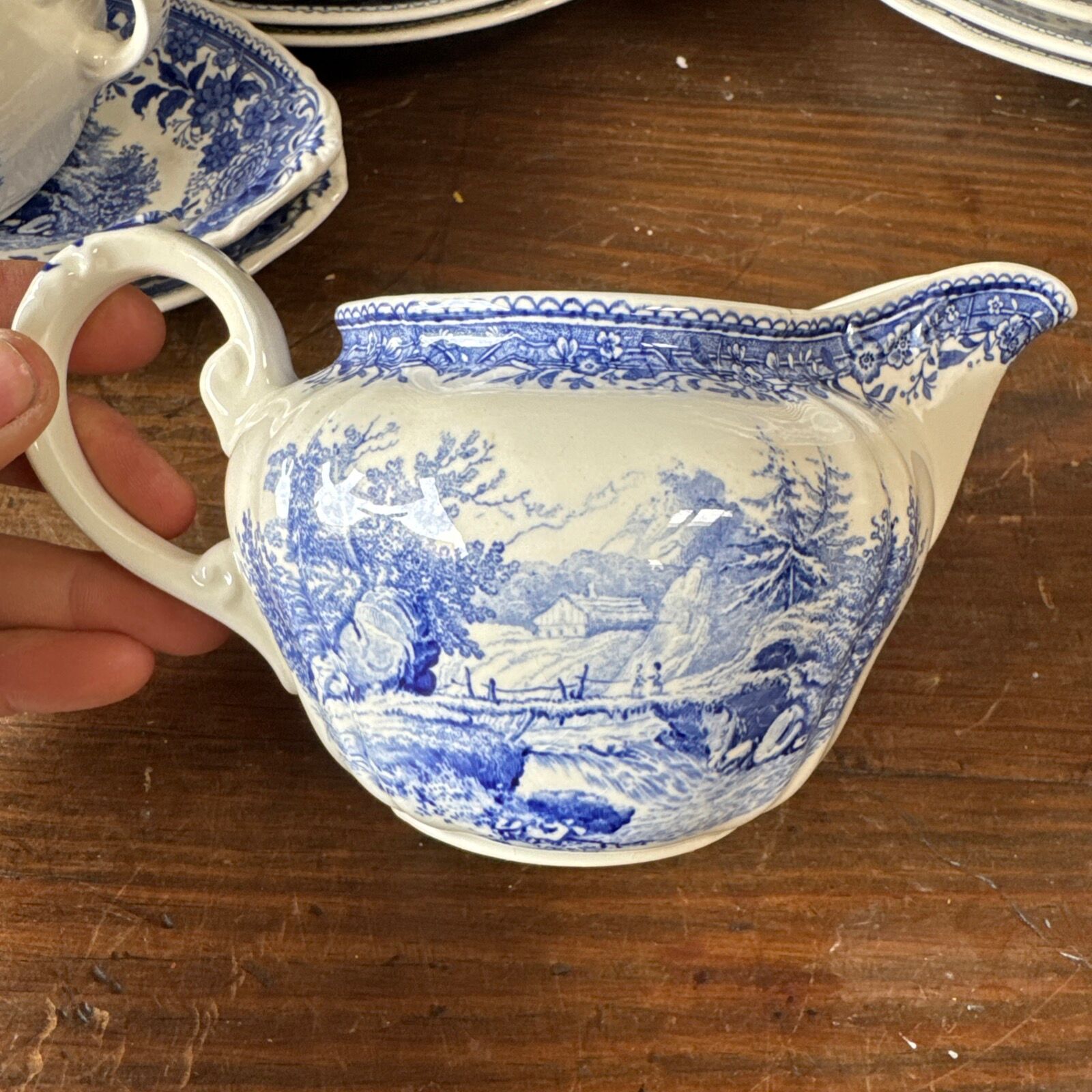 Service 51p. in earthenware Villeroy & Boch – model SAAR Burgenland