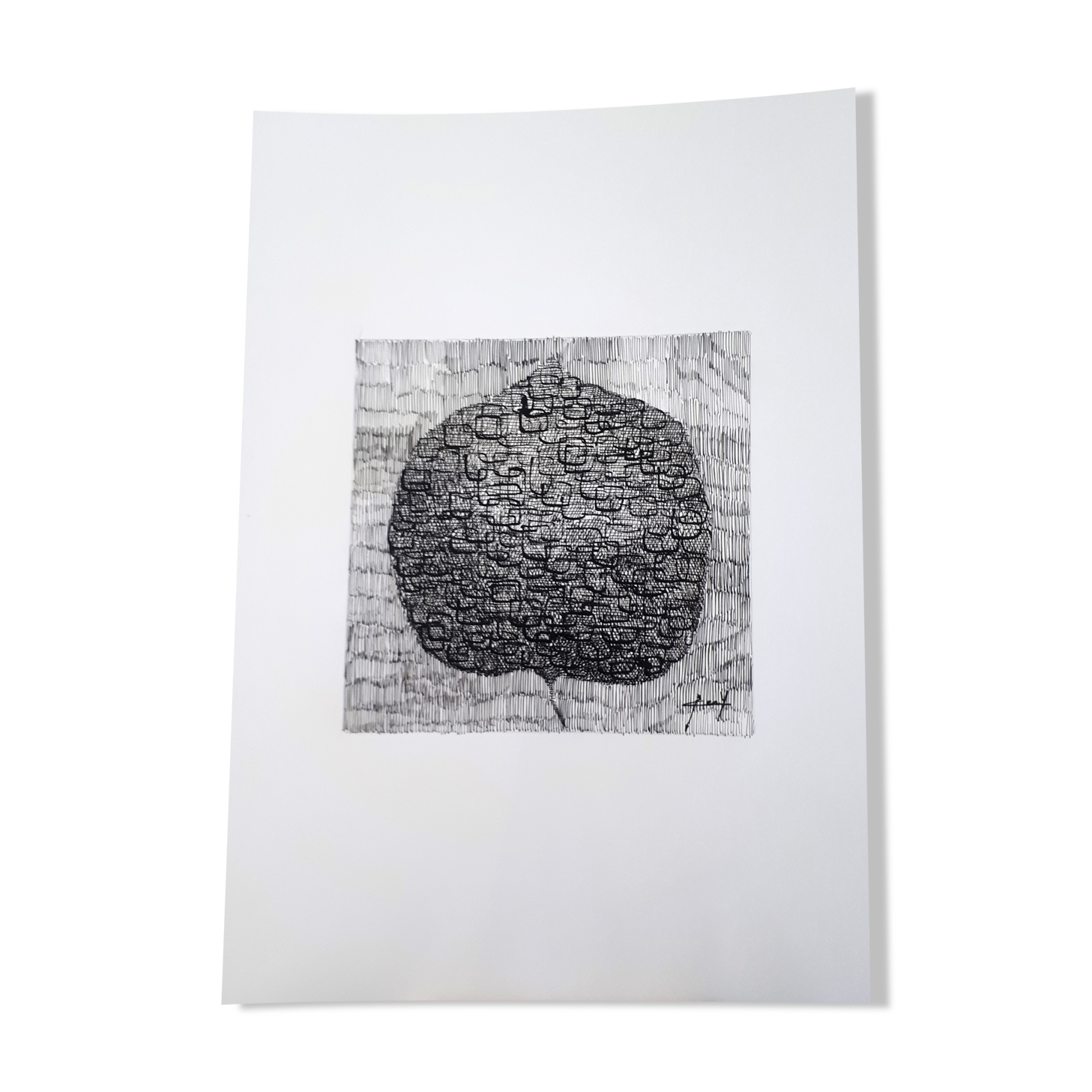 "The Paths of Life" Ink from China