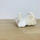 3 old white corals, coral