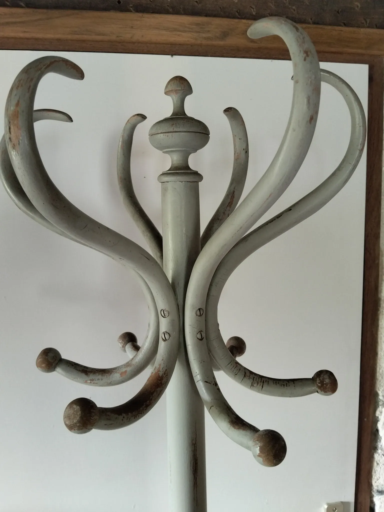 Porte manteau perroquet
