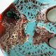 Vide poche poisson en céramique