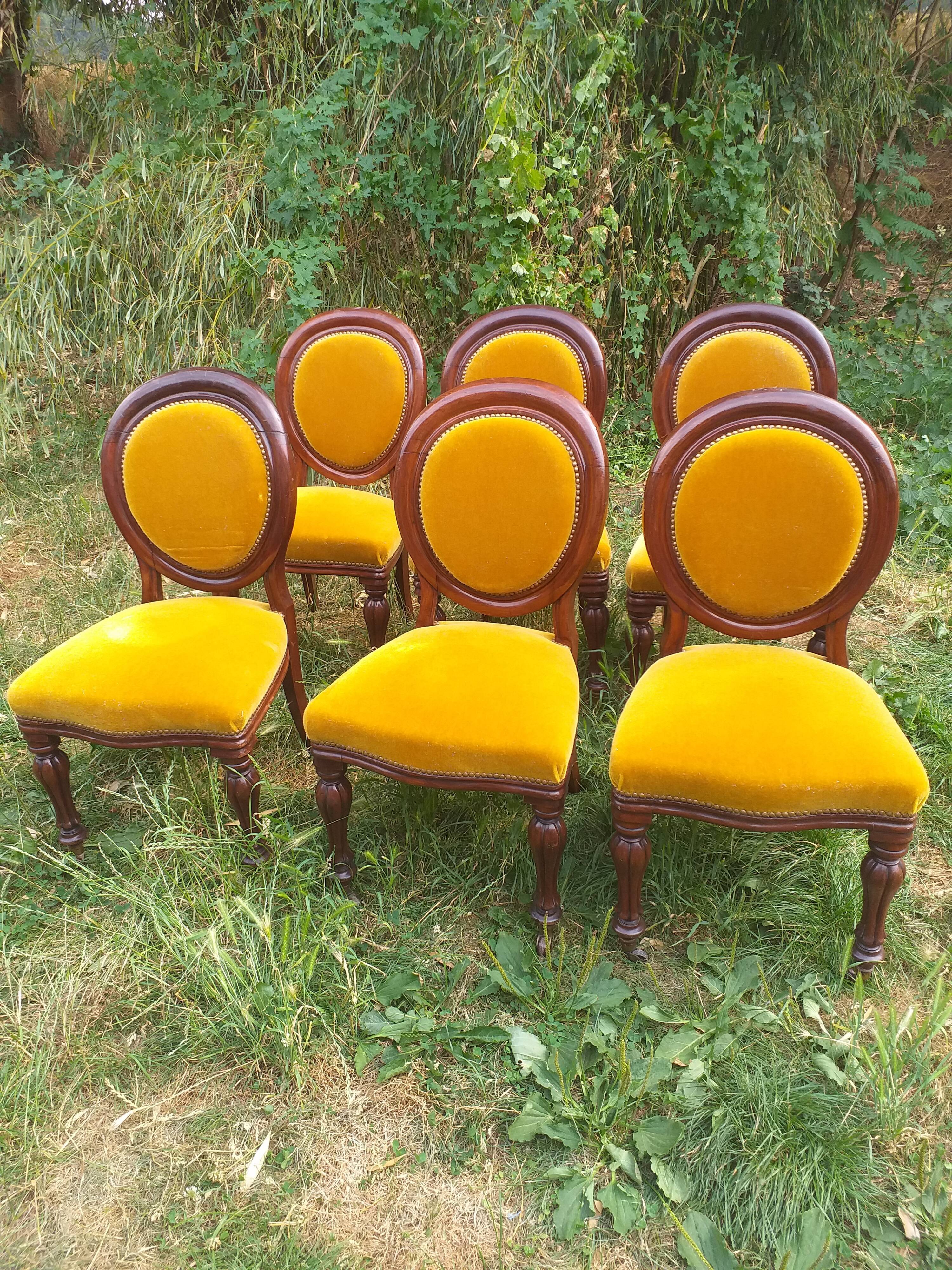 6 mahogany medaillon chairs from Louis Philippe 19th century