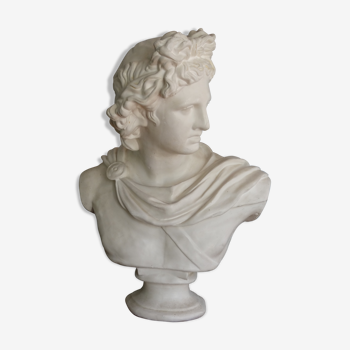 Buste en plâtre à l'antique l'Apollon du Belvédère, 70 cm