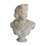 Plaster bust in the antique Apollo of the Belvedere, 70 cm