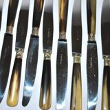 Set of 12 vintage table knives with horn handles and stainless steel blades RENEKA 24.5 cm