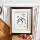 Botanical frame bigarreaux cherry branch