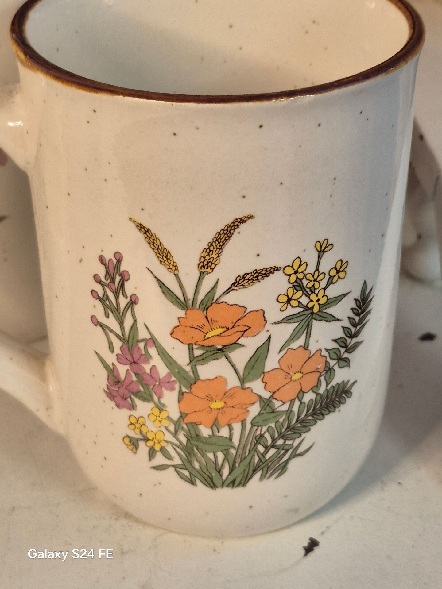 Herbarium mugs