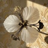 Lustre Hollywood Regency Art Deco vintage 80-90 Bronze Mariner Shells