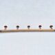 Vintage wall-mounted coat rack in solid wood with 5 hooks - Bistro style