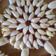 Shell trivet